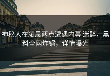 神秘人在凌晨两点遭遇内幕 迷醉，黑料全网炸锅，详情曝光