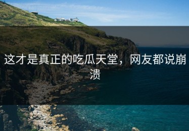 这才是真正的吃瓜天堂，网友都说崩溃