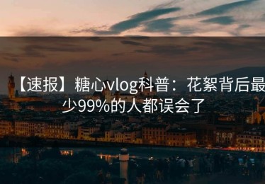【速报】糖心vlog科普：花絮背后最少99%的人都误会了