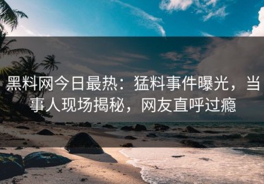 黑料网今日最热：猛料事件曝光，当事人现场揭秘，网友直呼过瘾