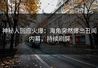 神秘人回应火爆：海角突然爆出丑闻内幕，持续刷屏