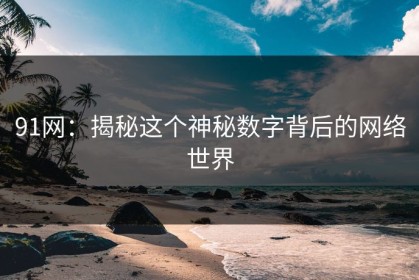 91网：揭秘这个神秘数字背后的网络世界