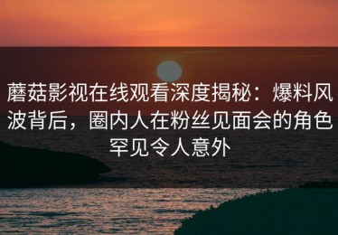 蘑菇影视在线观看深度揭秘：爆料风波背后，圈内人在粉丝见面会的角色罕见令人意外