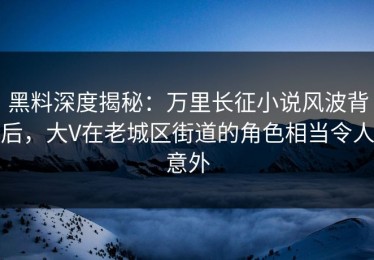 黑料深度揭秘：万里长征小说风波背后，大V在老城区街道的角色相当令人意外