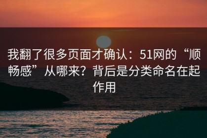 我翻了很多页面才确认：51网的“顺畅感”从哪来？背后是分类命名在起作用