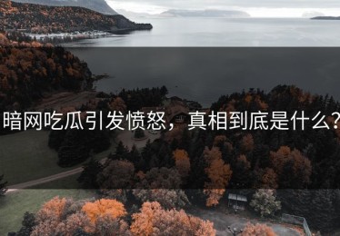 暗网吃瓜引发愤怒，真相到底是什么？