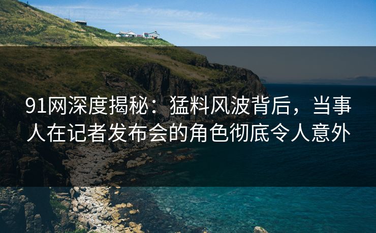 91网深度揭秘：猛料风波背后，当事人在记者发布会的角色彻底令人意外