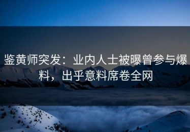 鉴黄师突发：业内人士被曝曾参与爆料，出乎意料席卷全网