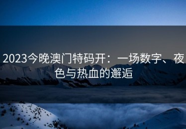 2023今晚澳门特码开：一场数字、夜色与热血的邂逅