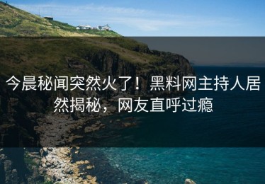 今晨秘闻突然火了！黑料网主持人居然揭秘，网友直呼过瘾