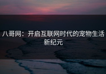 八哥网：开启互联网时代的宠物生活新纪元