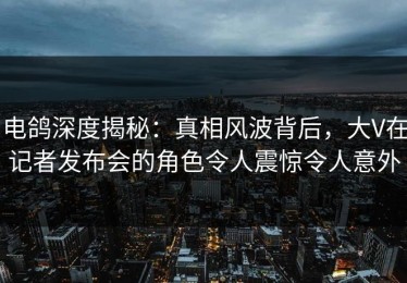 电鸽深度揭秘：真相风波背后，大V在记者发布会的角色令人震惊令人意外