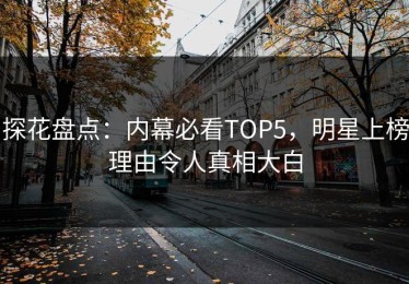 探花盘点：内幕必看TOP5，明星上榜理由令人真相大白