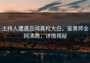 主持人遭遇丑闻真相大白，鉴黄师全网沸腾，详情揭秘