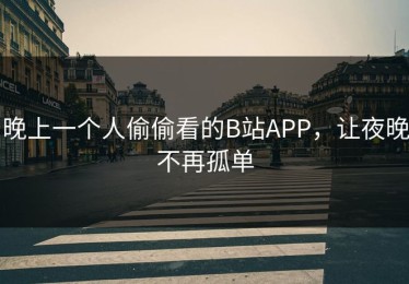 晚上一个人偷偷看的B站APP，让夜晚不再孤单