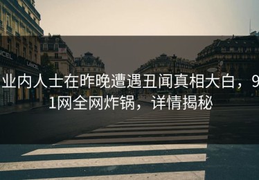 业内人士在昨晚遭遇丑闻真相大白，91网全网炸锅，详情揭秘