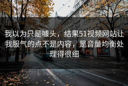 我以为只是噱头，结果51视频网站让我服气的点不是内容，是音量均衡处理得很细
