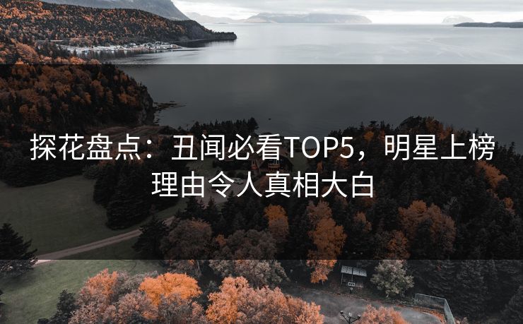探花盘点：丑闻必看TOP5，明星上榜理由令人真相大白